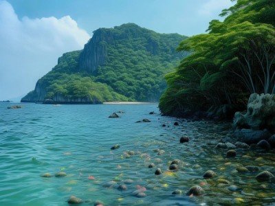 南麂山，浙江海岛上的生物基因库与自然秘境
