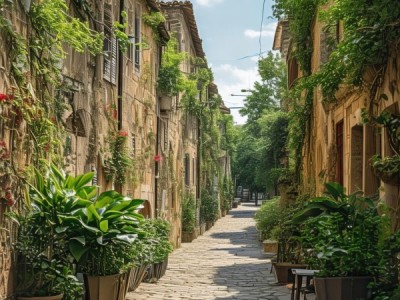 探寻赣州七中的位置，历史与地理的交汇点